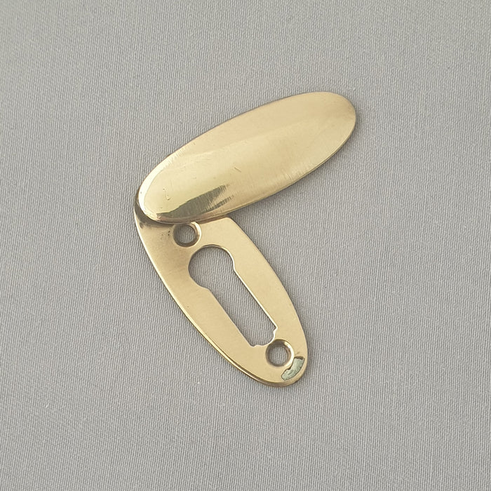 Antique Early 1900s Long Escutcheons