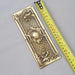 Rococo Mid Size Antique Finger Plates