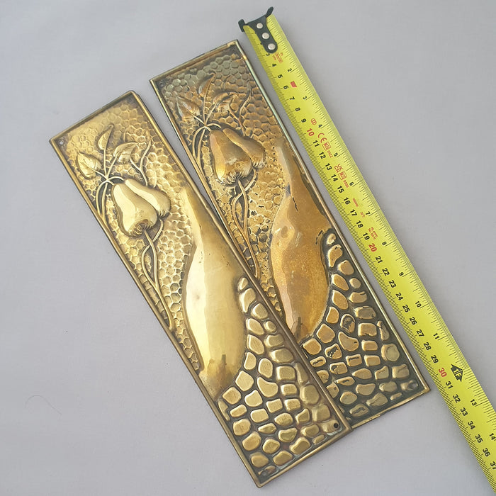 Pair Arts & Crafts  Antique Brass Finger Plates