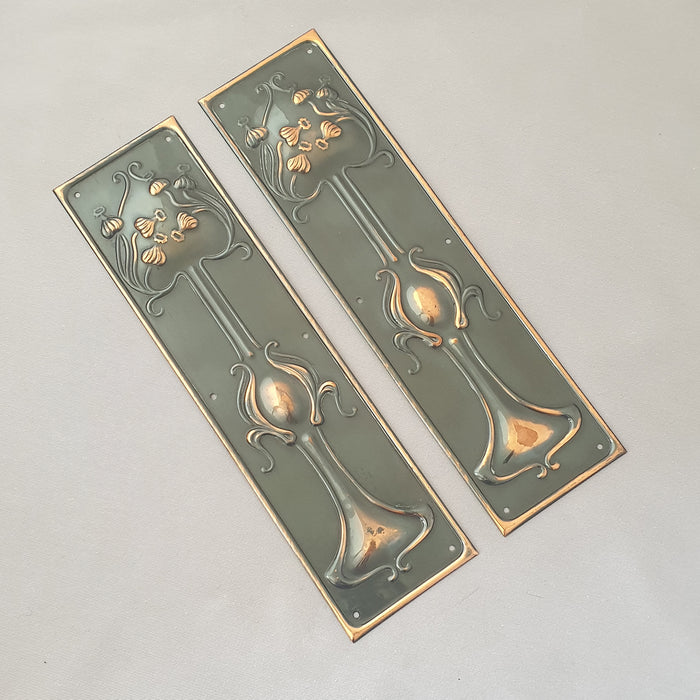 Pair 1900s Art Nouveau Finger Plates