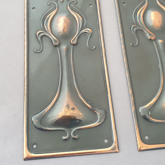 Antique Pair 1900s Art Nouveau Finger Plates