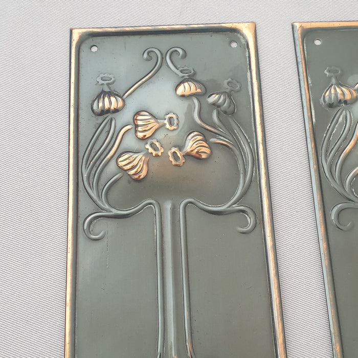 Pair 1900s Antique Art Nouveau Finger Plates