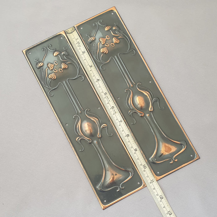 Pair 1900s Art Nouveau Antique Finger Plates