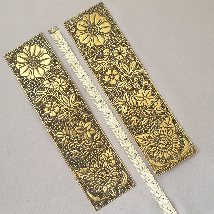 Pair Arts & Crafts Antique Finger Plates