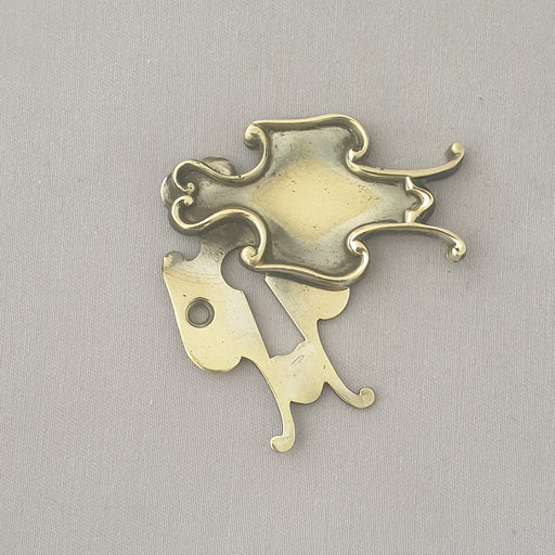 Unusual Decorative Victorian Escutcheons