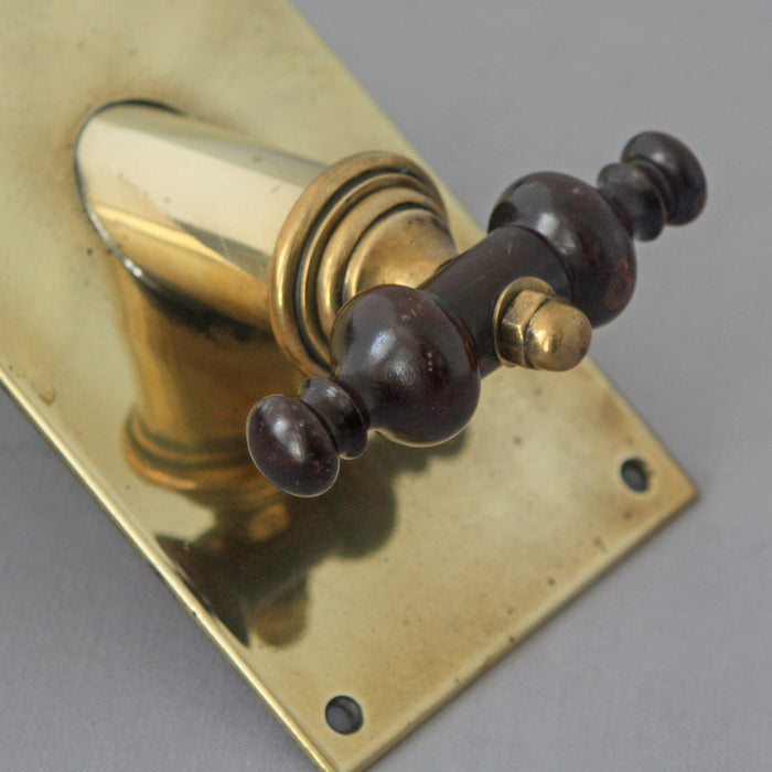 Unusual Brass Front Door Bell Pull
