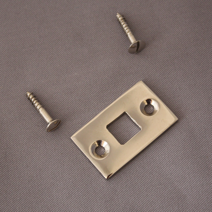 Receiver Plate for Nickel Bolt